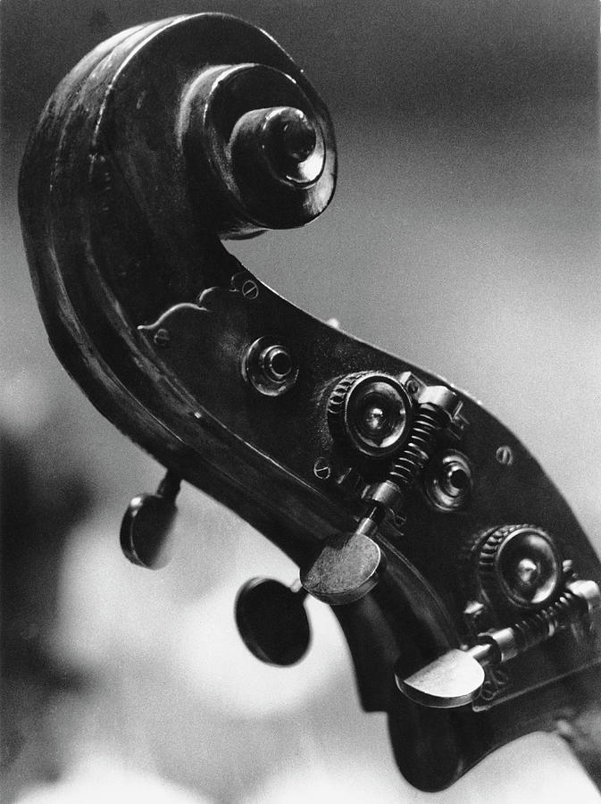 Double Bass Scroll Photograph by Erich Auerbach