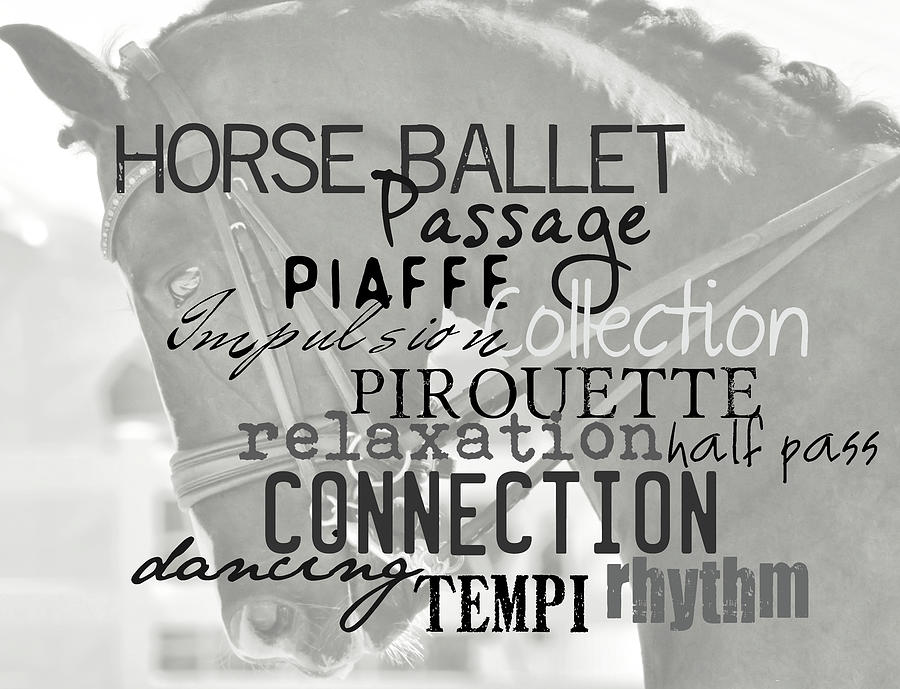 DOUBLE BRIDLE quote Photograph by JAMART Photography