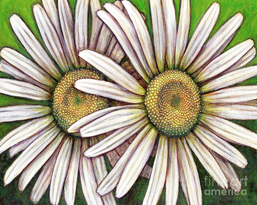 Double Daisy Painting by Amy E Fraser