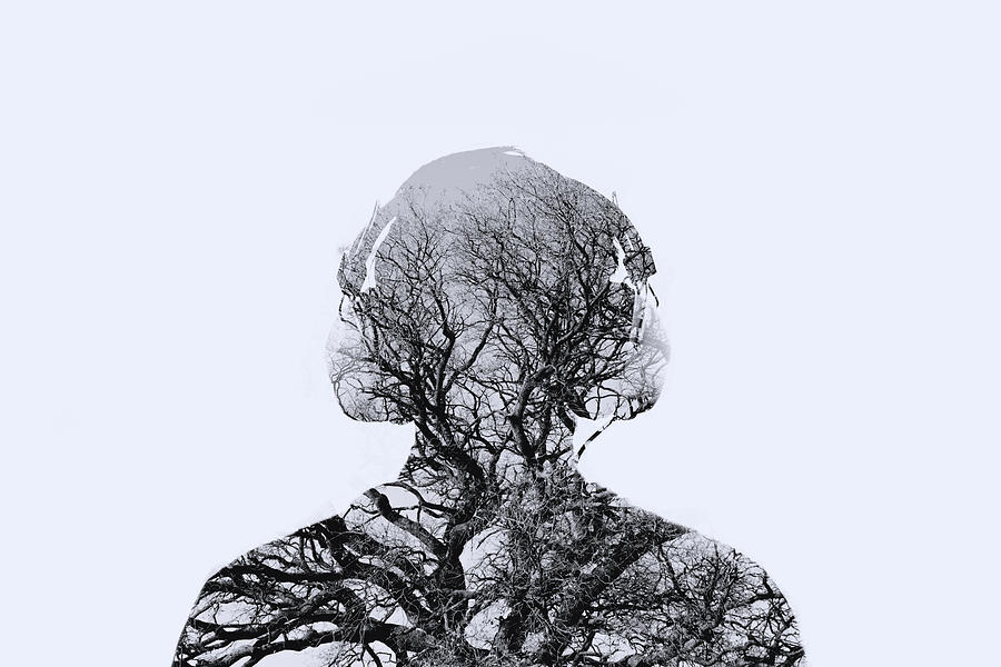 Double Exposure Man With Tree In The Photograph by Themacx
