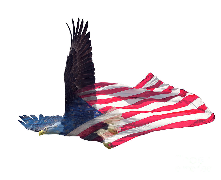 Double Exposure Of Bald Eagle On American Flag. Mixed Media by Svetlana ...