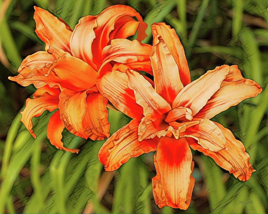 daylily digital art - double orange daylilies by dennis lundell