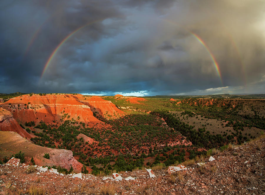 Double Rainbow Photograph by Leland D Howard