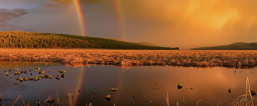 Nature Photograph - Double Rainbow Light by Leland D Howard