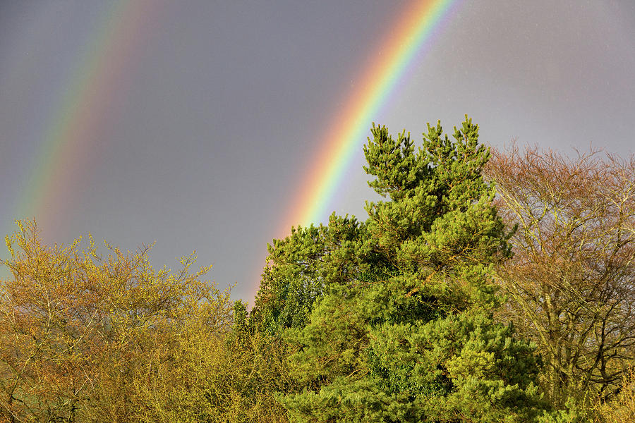 Double Rainbow Photograph by Mark Hunter