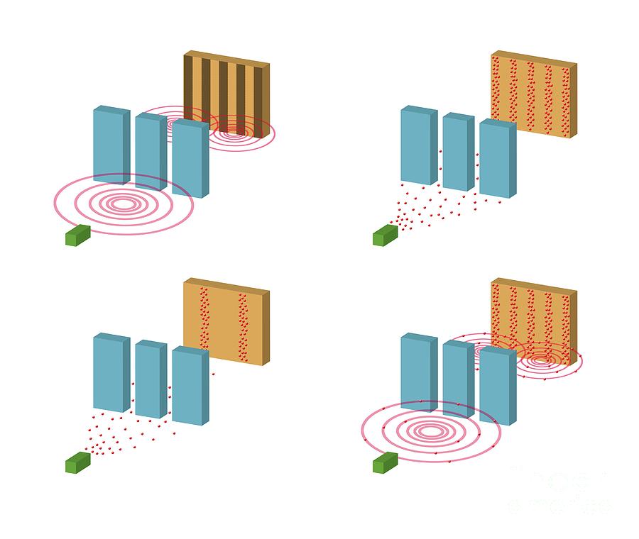 Double-slit Experiment by Tim Brown/science Photo Library