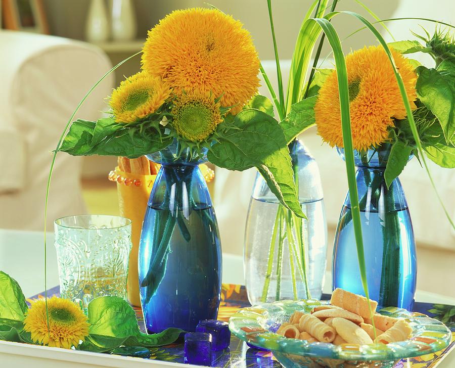 Double Sunflowers In Blue Vases On Tray Photograph by Friedrich Strauss
