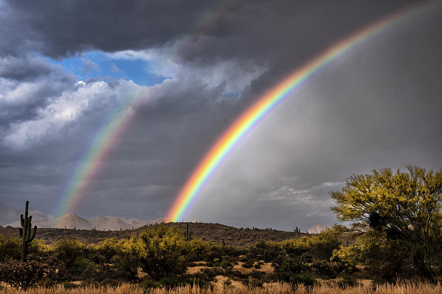 Double The Rainbow  Photograph by Saija Lehtonen