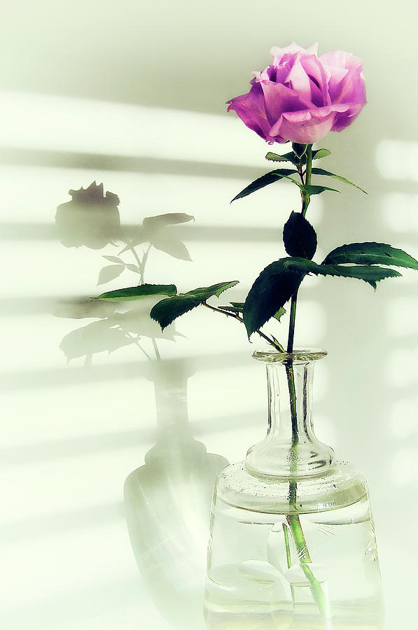 Flower Photograph - Doubled Beauty by Augenwerk Susann Serfezi