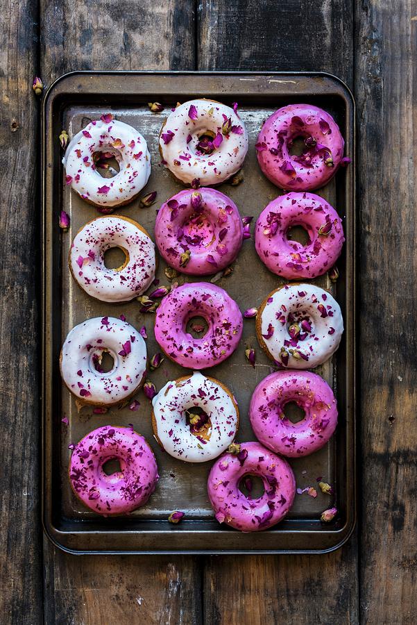 Doughnuts On A Baking Sheet Photograph by Hein Van Tonder