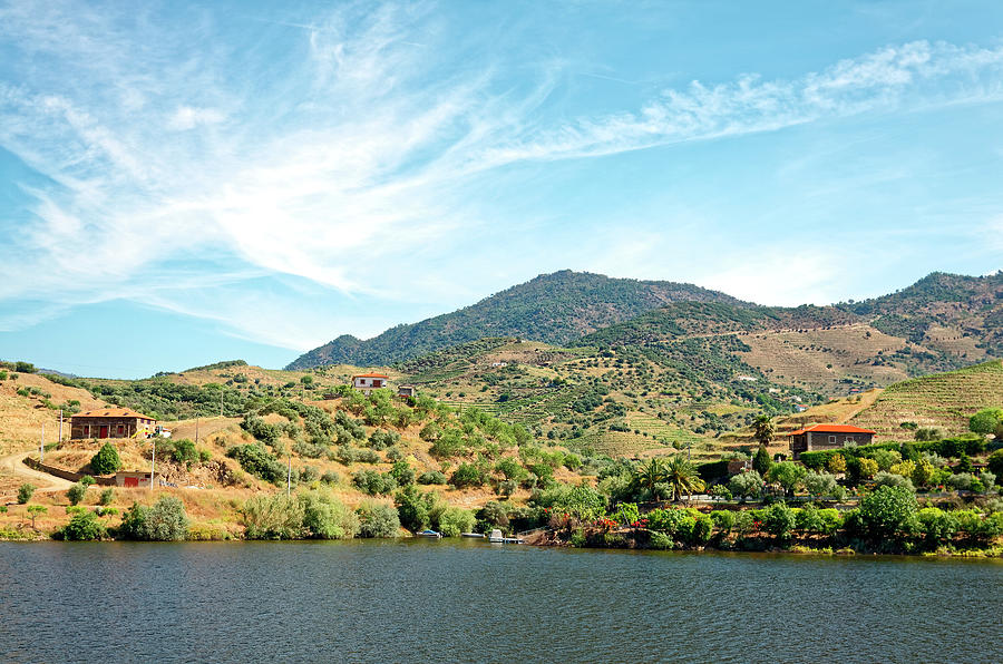 Spring Photograph - Douro River Valley Landscape by Sally Weigand
