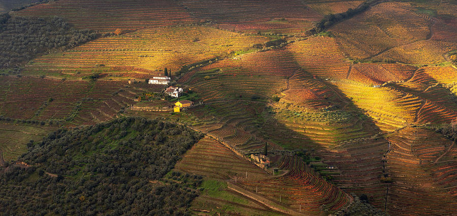 Landscape Photograph - Douro Valley, Portugal by Dianne Mao