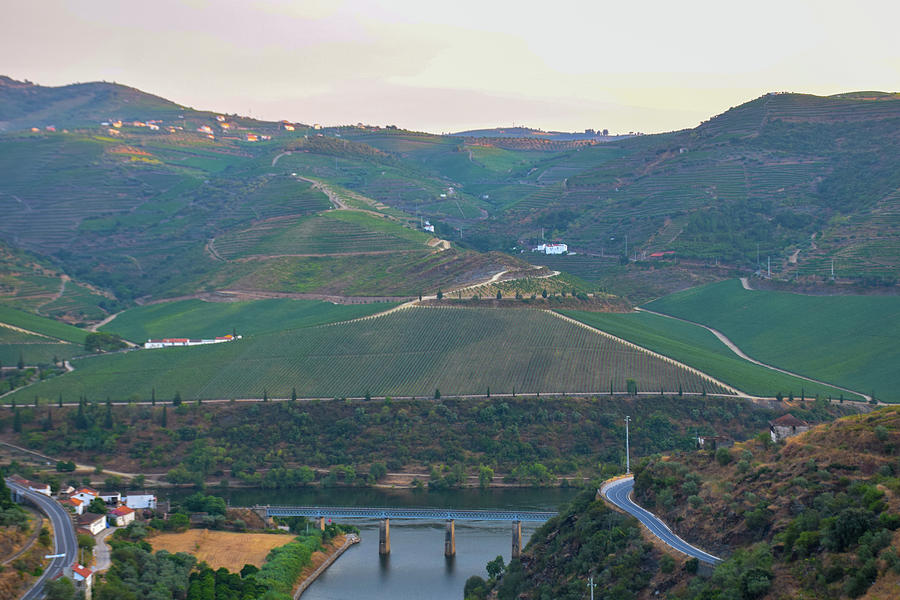 Landscape Photograph - Douro Valley With Vineyard In Summer by Cavan Images