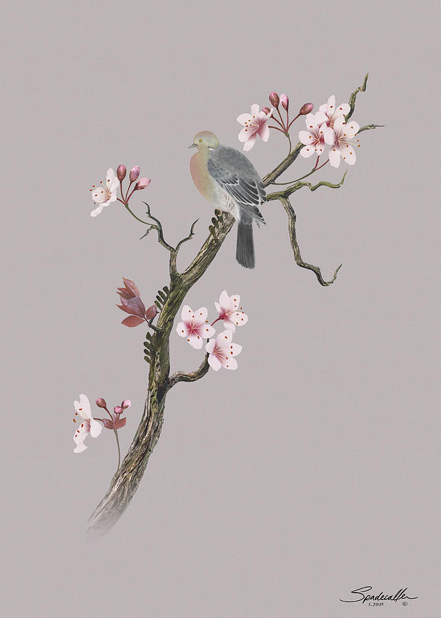 Dove in Cherry Tree Digital Art by M Spadecaller