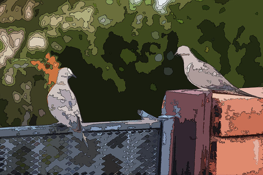 Doves on a Fence Posterized  Digital Art by Chance Kafka
