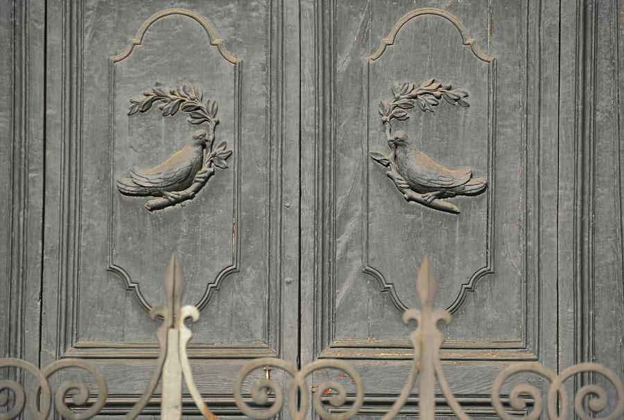 Doves On The Doorway Photograph by JAMART Photography