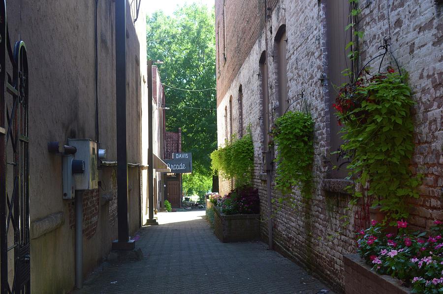 Down the Alley Photograph by Lisa Burbach