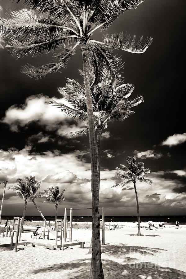 Down the Middle at Fort Lauderdale Beach Photograph by John Rizzuto