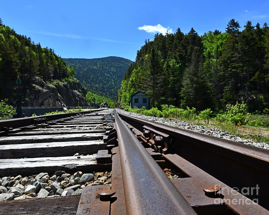 Down the Tracks Photograph by Steve Brown
