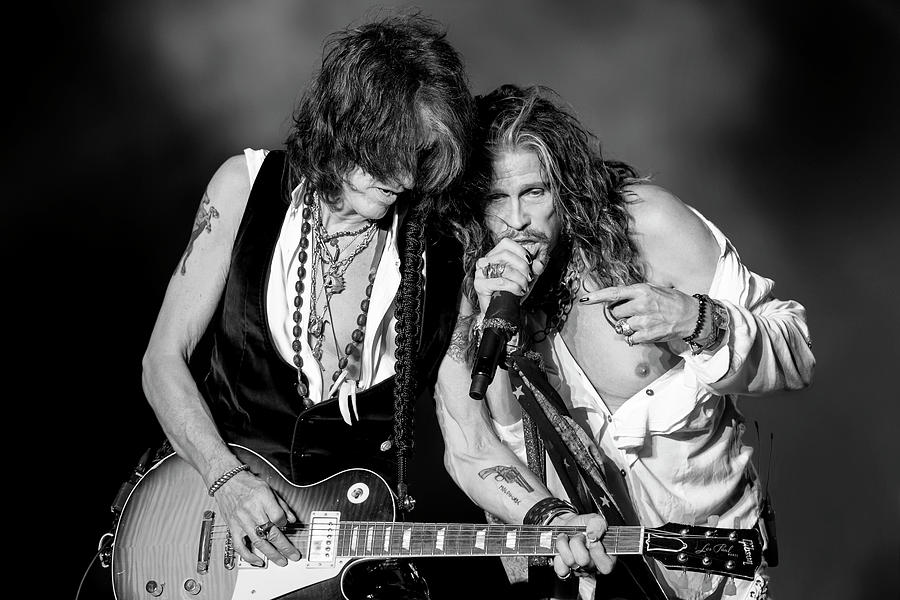 Steven Tyler Photograph - Download Festival 2014 - Day 3 by Neil Lupin