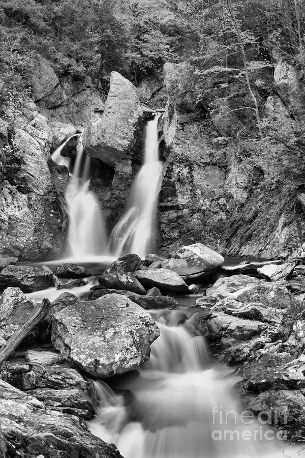 Downstream From Bash Bish Black And White Photograph by Adam Jewell