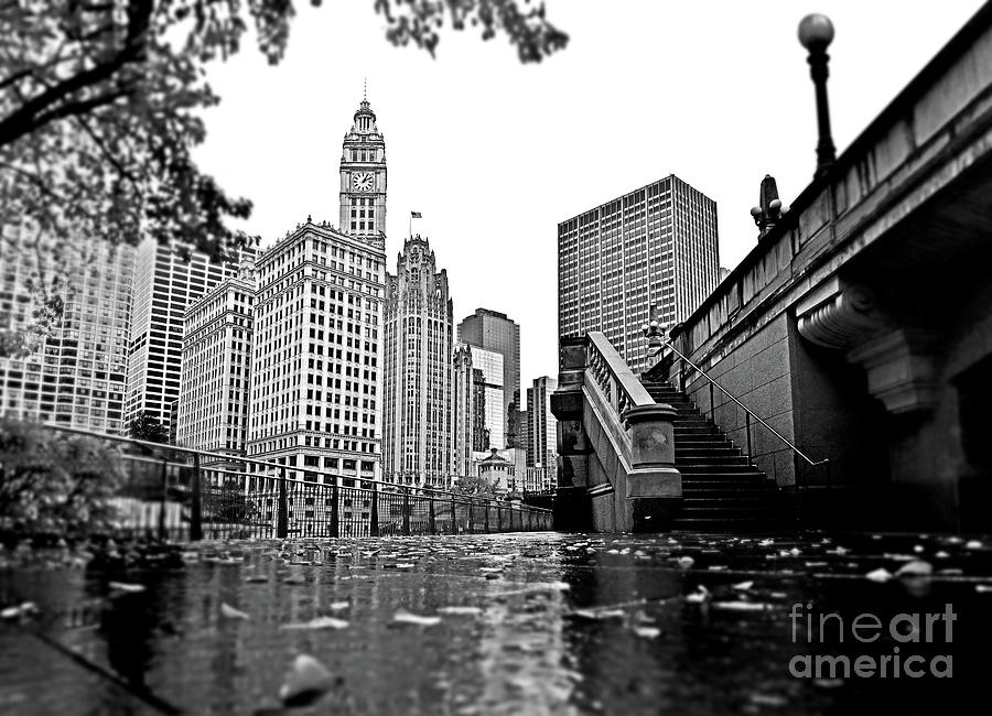 Downtown Chicago from Riverwalk South Photograph by Carlos Alkmin