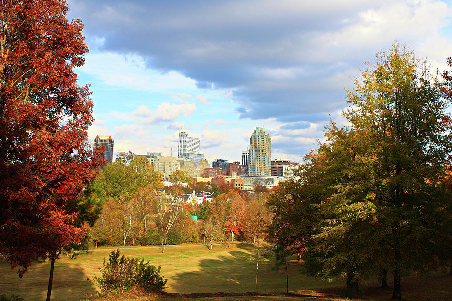 Downtown Raleigh Through The Trees Photograph