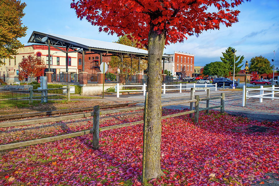 Downtown Rogers Arkansas Autumn Fall Landscape Photograph by Gregory Ballos