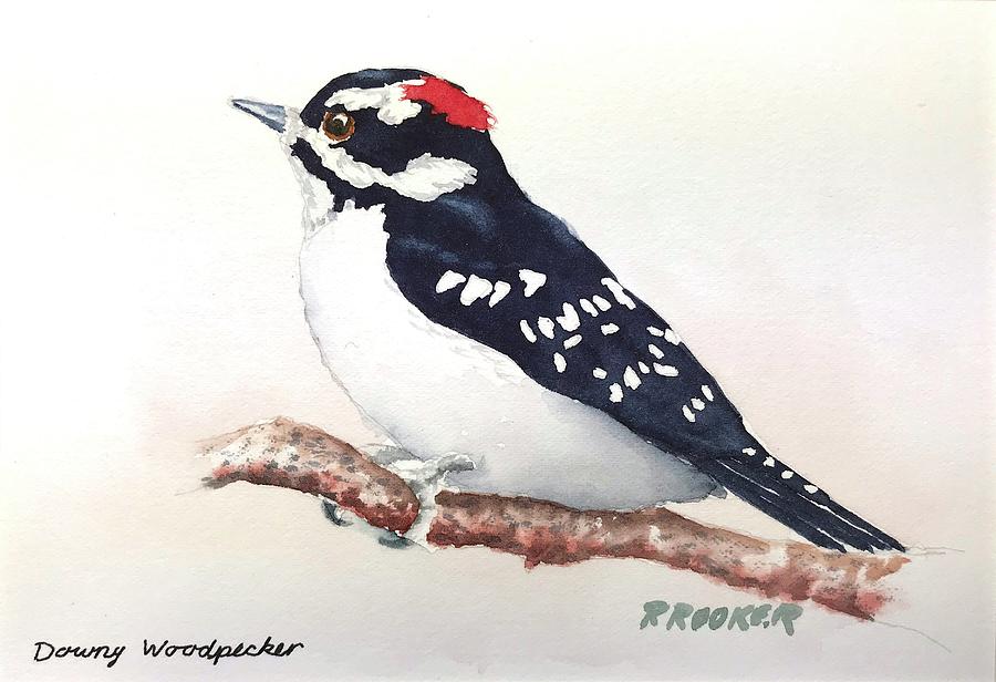 Downy Woodpecker Painting by Richard Rooker