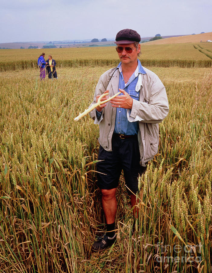 Dowser In A Crop Circle Photograph by David Parker/science Photo Library