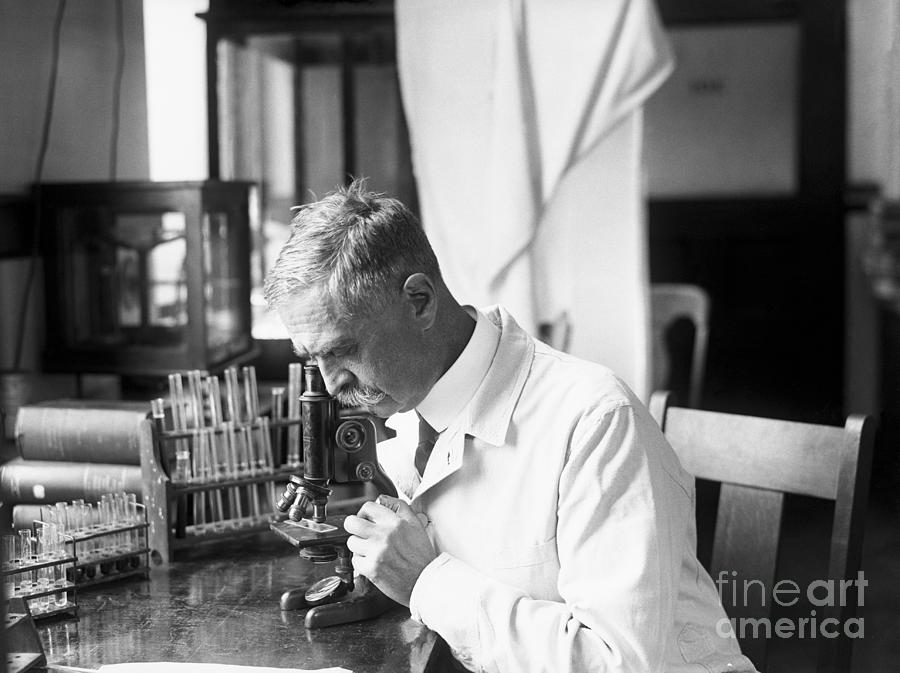 Dr. Karl Landsteiner Working In His Lab by Bettmann