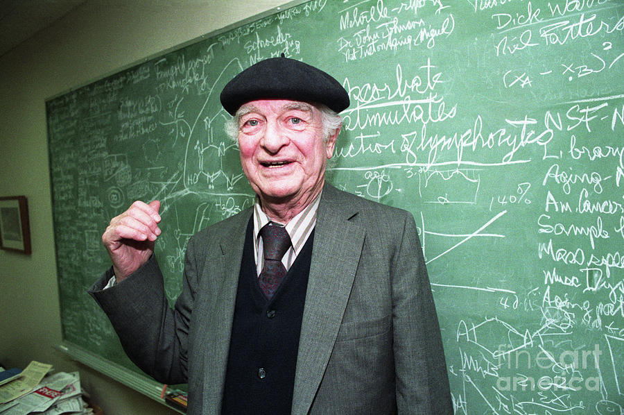Dr. Linus Pauling At The Chalk Board Photograph by Bettmann