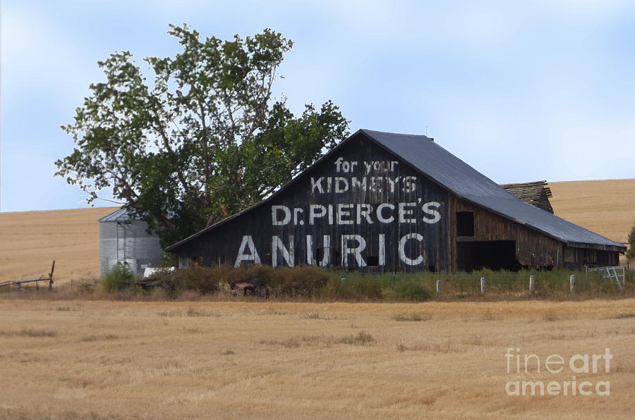 Dr. Pierces Anuric Barn Photograph by Charles Robinson