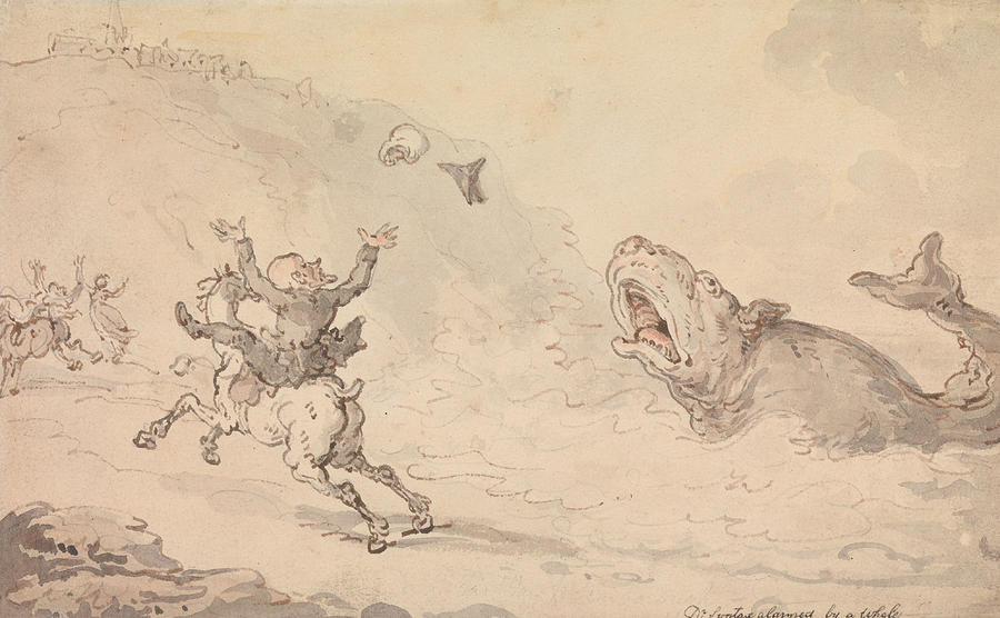Dr Syntax Alarmed by a Whale Drawing by Thomas Rowlandson
