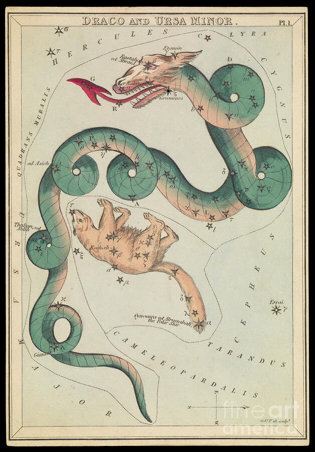Draco And Ursa Minor, Circa 1825 Card, Paper, Tissue Mixed Media by Sydney Hall