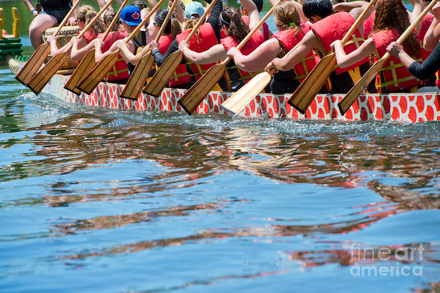 Muscular Photograph - Dragon Boat by Oceanfishing