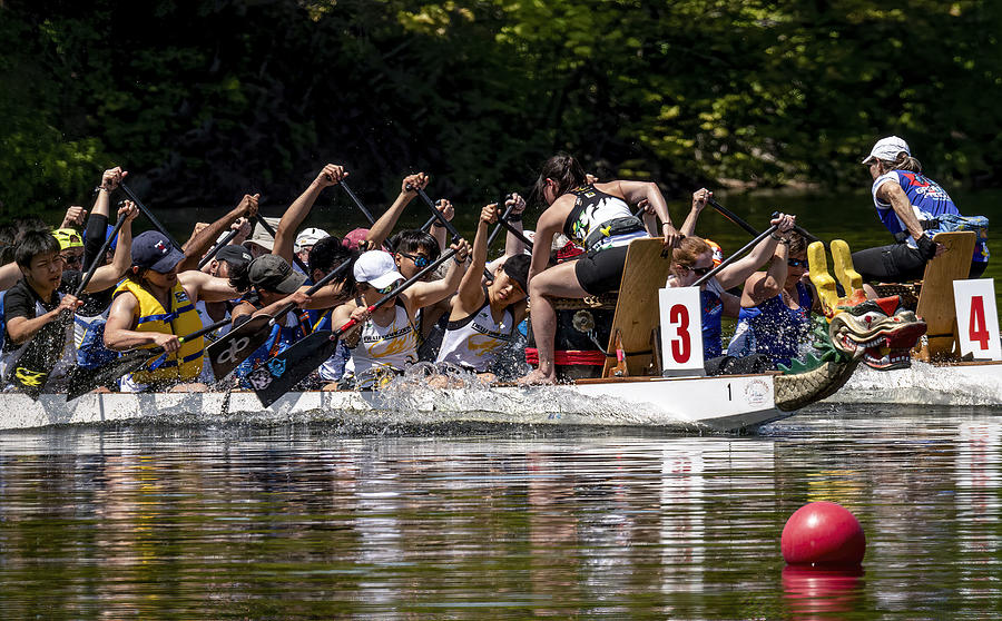 Action Photograph - Dragon Boat Race by Betty Liu