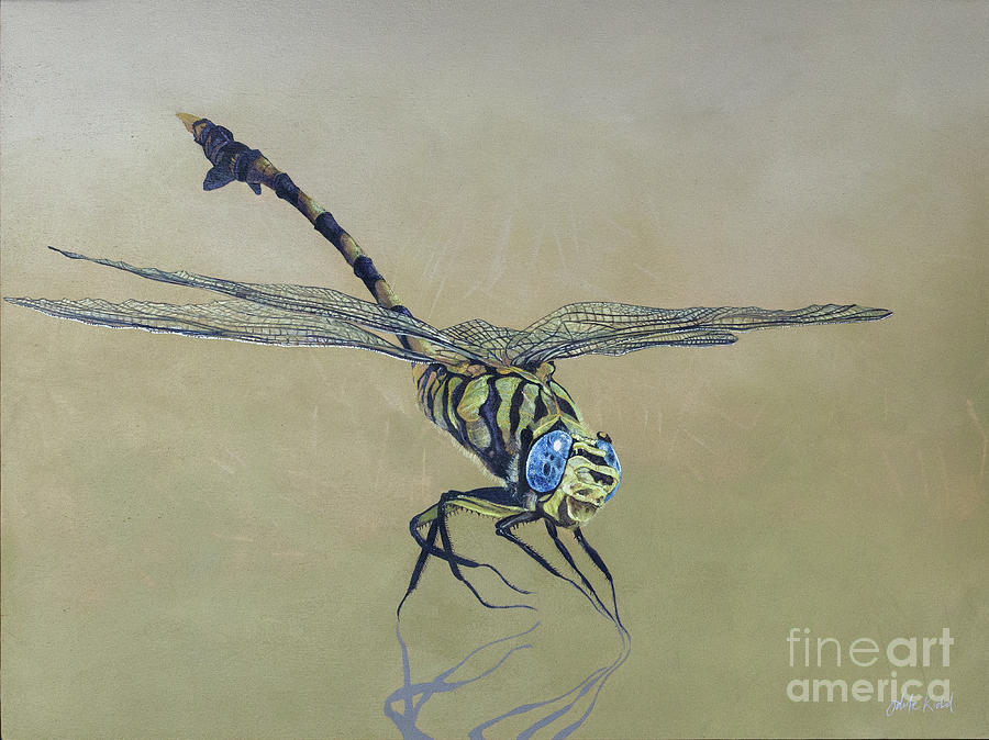 Dragon Fly, 2009 Acrylic On Wood Painting by Odile Kidd