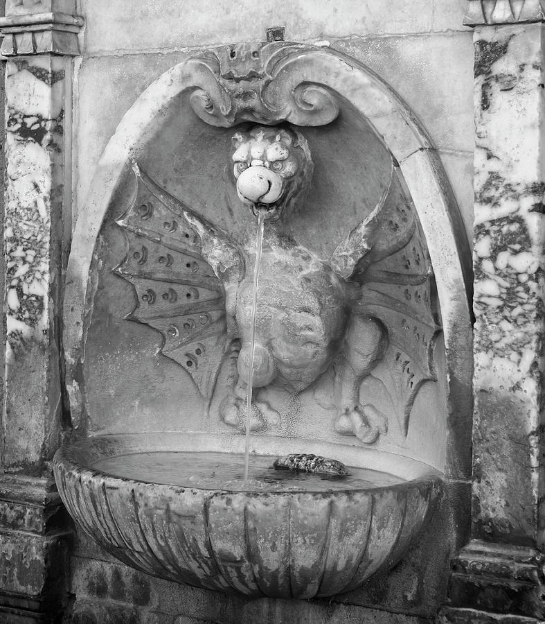 Fountain Photograph - Dragon Fountain Rome Italy by Joan Carroll