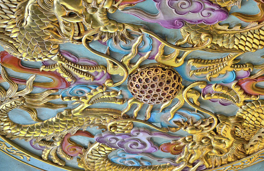 Dragon In The Details Photograph by JAMART Photography