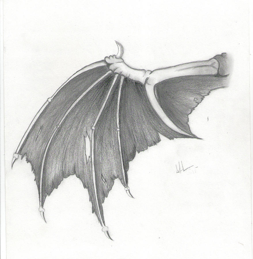 Dragon Wings drawing Drawing by Madura Venkatachalam - Pixels