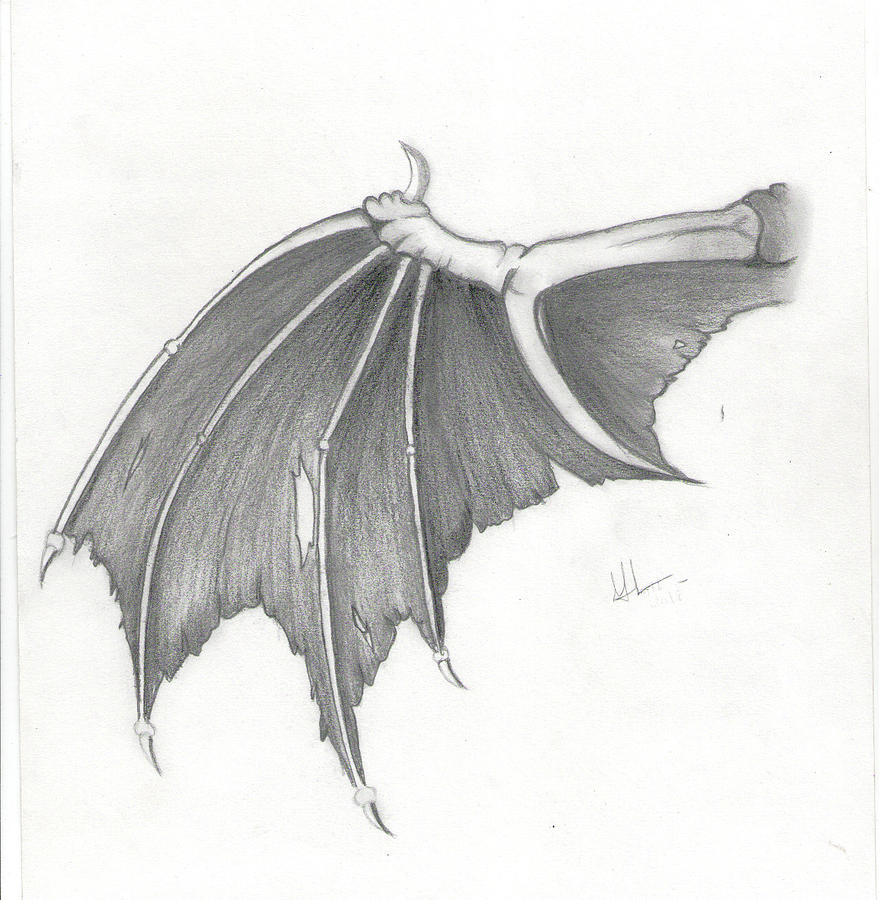 Bat or dragon wings. A demon dragon or vampire bat wings horror halloween  design in a vintage woodcut style. | CanStock