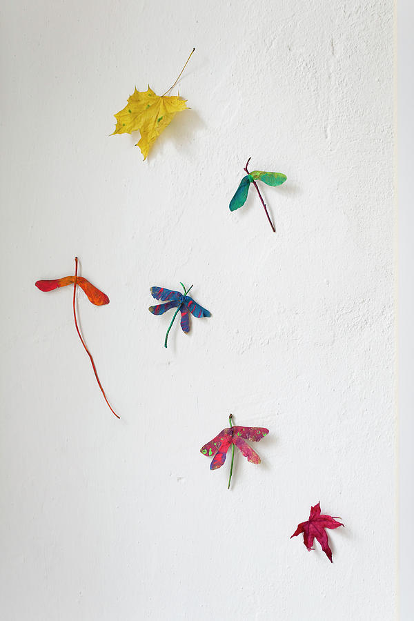 Dragonflies Made From Painted Sycamore Seeds On White Wall Photograph by Iris Wolf
