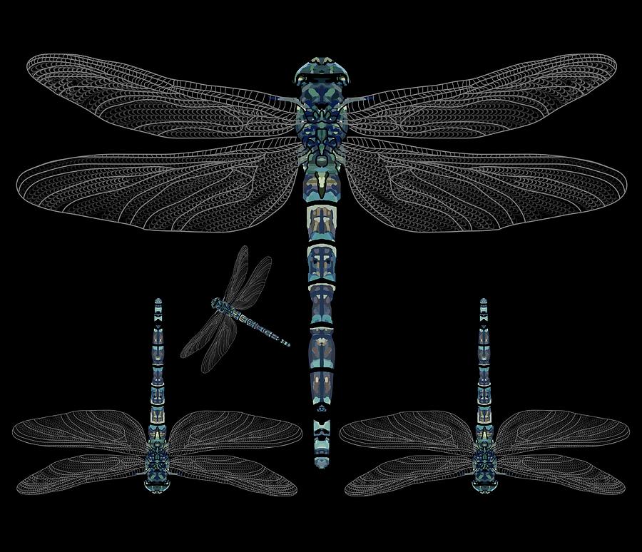 Dragonflies on Black Drawing by Joan Stratton