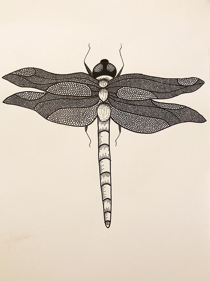 Dragonfly #6 Drawing by Natalie Flynn - Fine Art America