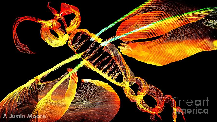 Dragonfly Amber Digital Art