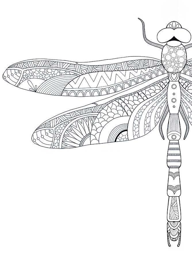 Digital File - Dragonfly Portrait Line Drawing to Trace Ink Art Traceable  For Artists Printable Download