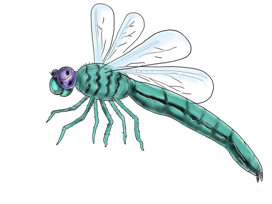 Dragonfly Flying Color Drawing Digital Art by Aloysius Patrimonio Pixels
