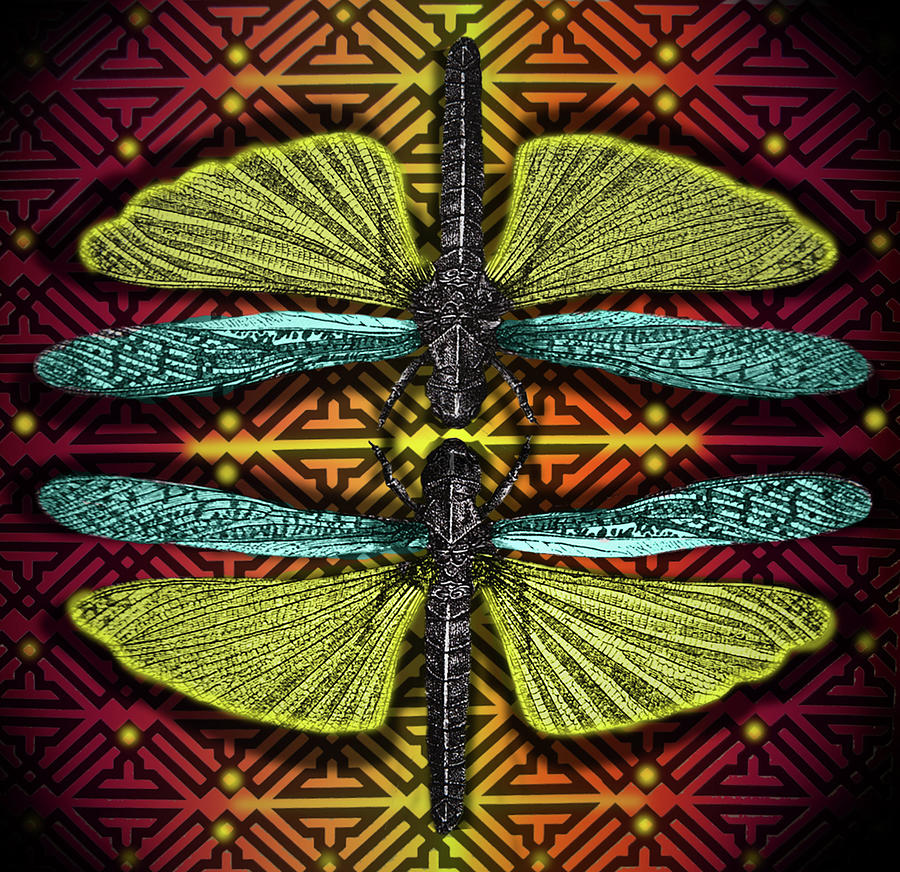 Dragonfly Mating Dance Digital Art