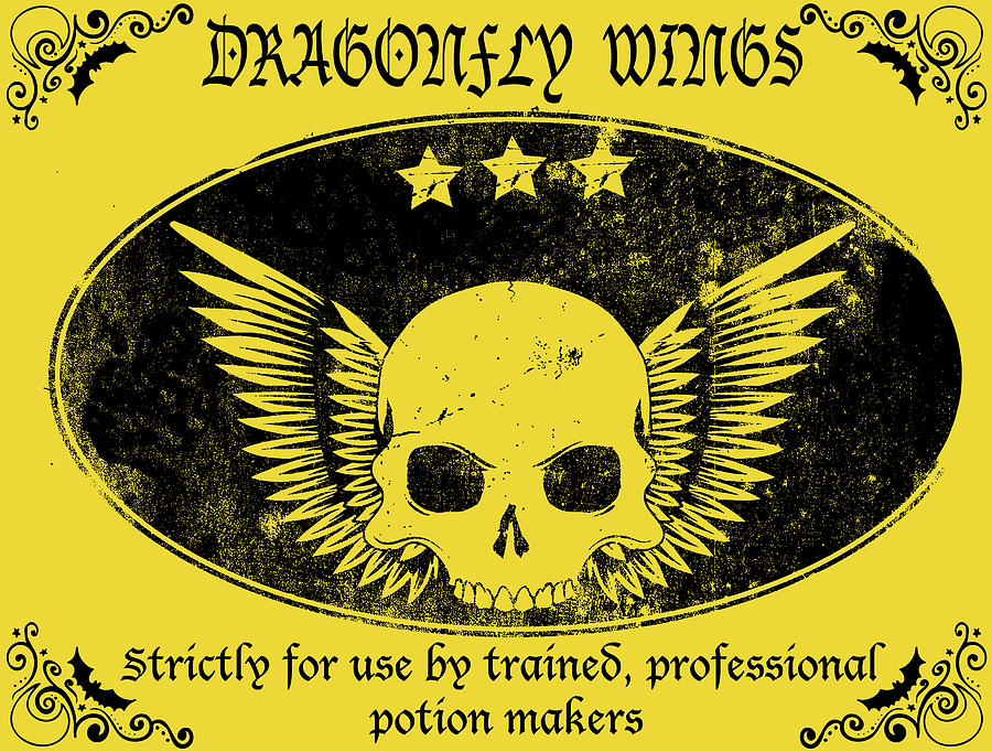 Magic Digital Art - Dragonfly Wings by Long Shot